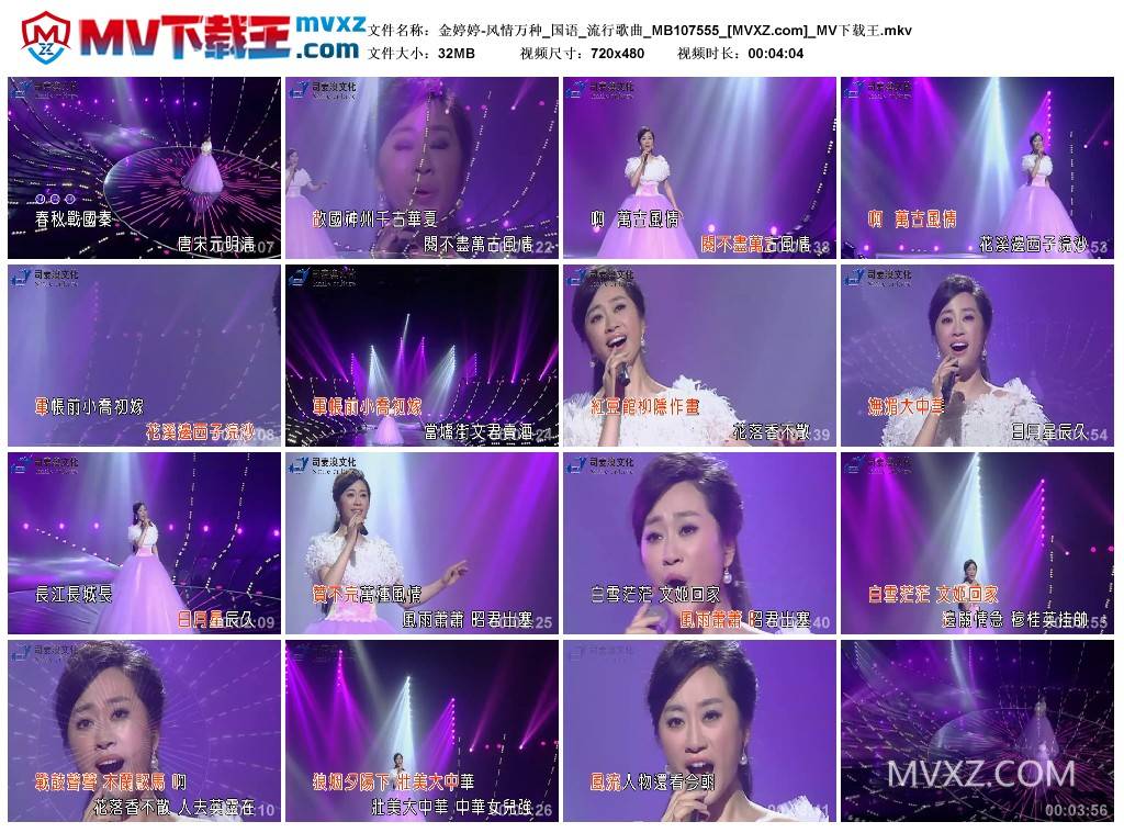 金婷婷-风情万种_国语_流行歌曲_MB107555